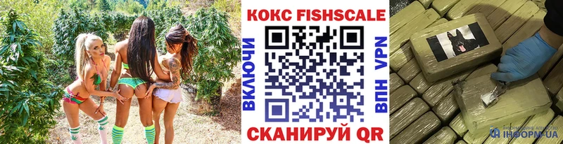 Cocaine Fish Scale  Купить закладки  Венёв 