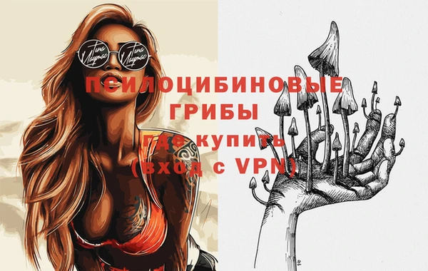 соль ск Вязьма