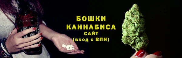 СК Вяземский