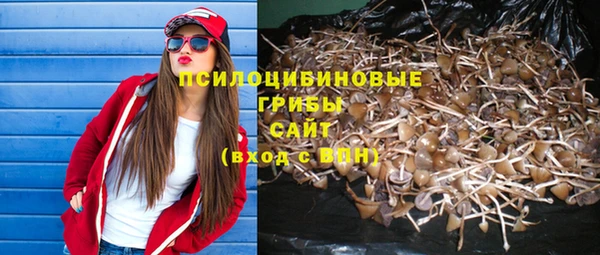 соль ск Вязьма